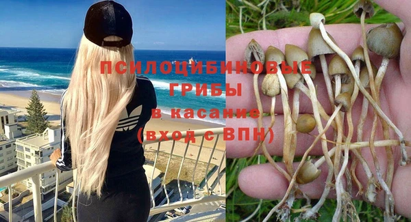 прущие грибы Липки