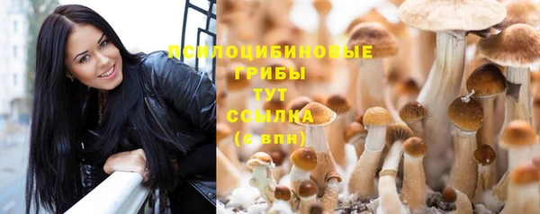бутират Магадан