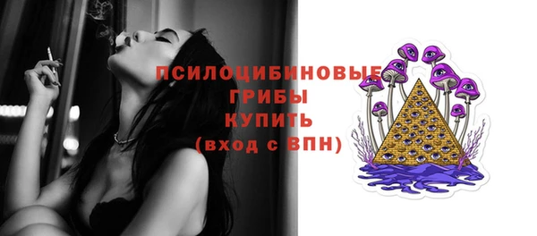 прущие грибы Липки