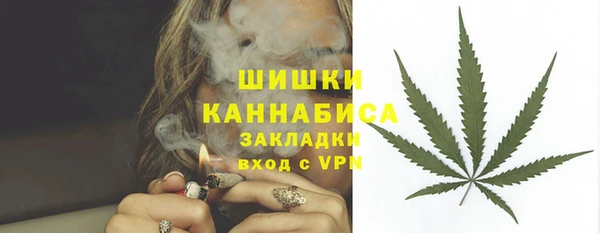 ГАЛЛЮЦИНОГЕННЫЕ ГРИБЫ Лихославль
