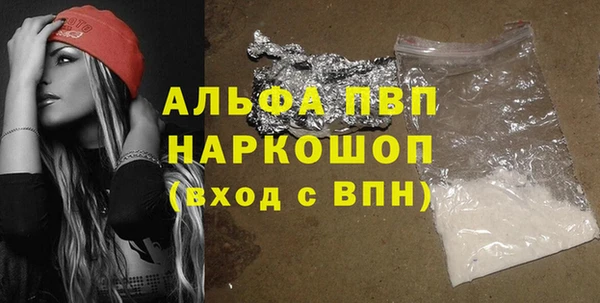 хмурый Магас