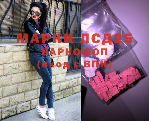 хмурый Магас