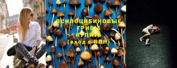 ГАЛЛЮЦИНОГЕННЫЕ ГРИБЫ Лихославль