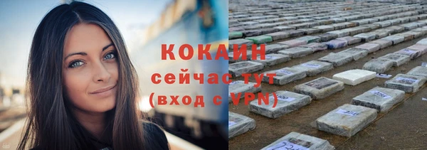 прущие грибы Липки