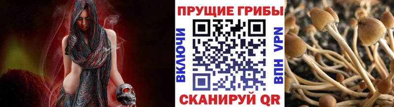 Псилоцибиновые грибы мухоморы  Норильск 