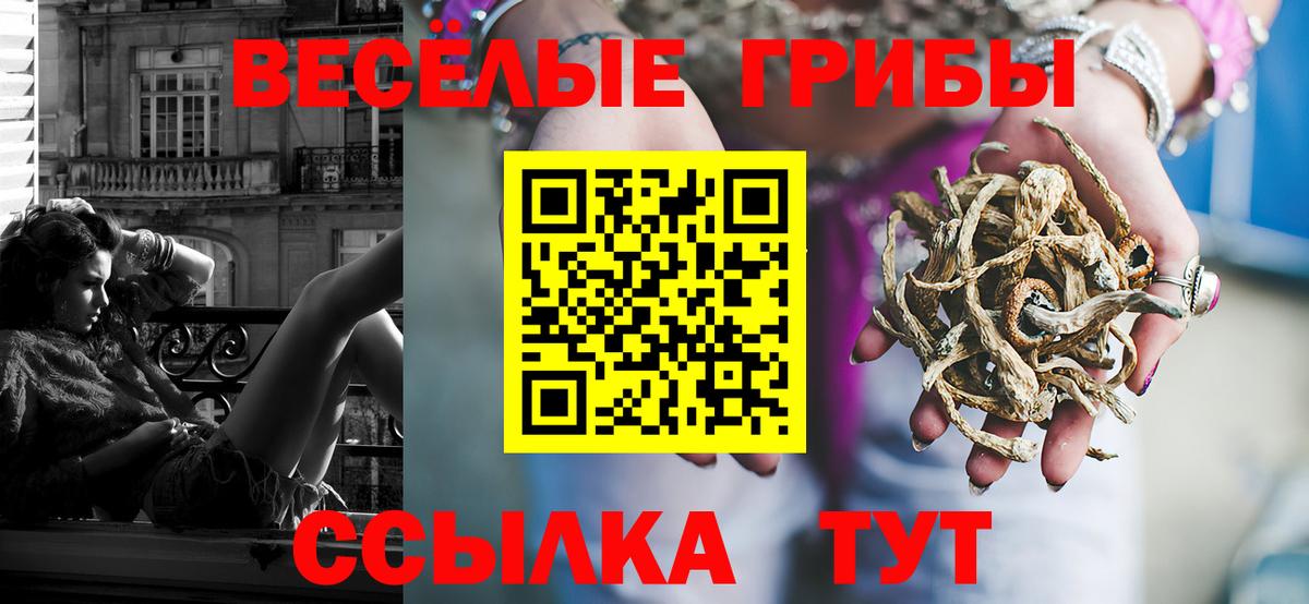 Псилоцибиновые грибы GOLDEN TEACHER  Вход с VPN  Псилоцибиновые грибы Psilocybe  Норильск 