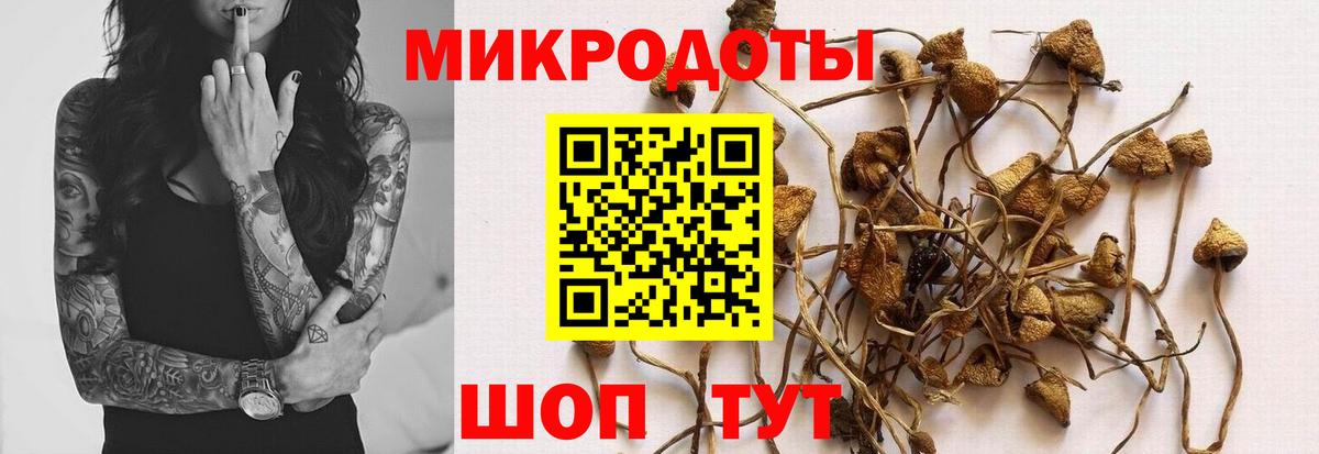 Псилоцибиновые грибы прущие грибы Норильск