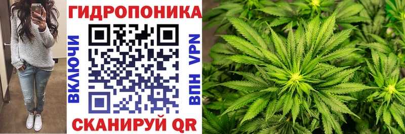 где можно купить наркотик  ОМГ ОМГ онион  Бошки марихуана White Widow  Норильск 